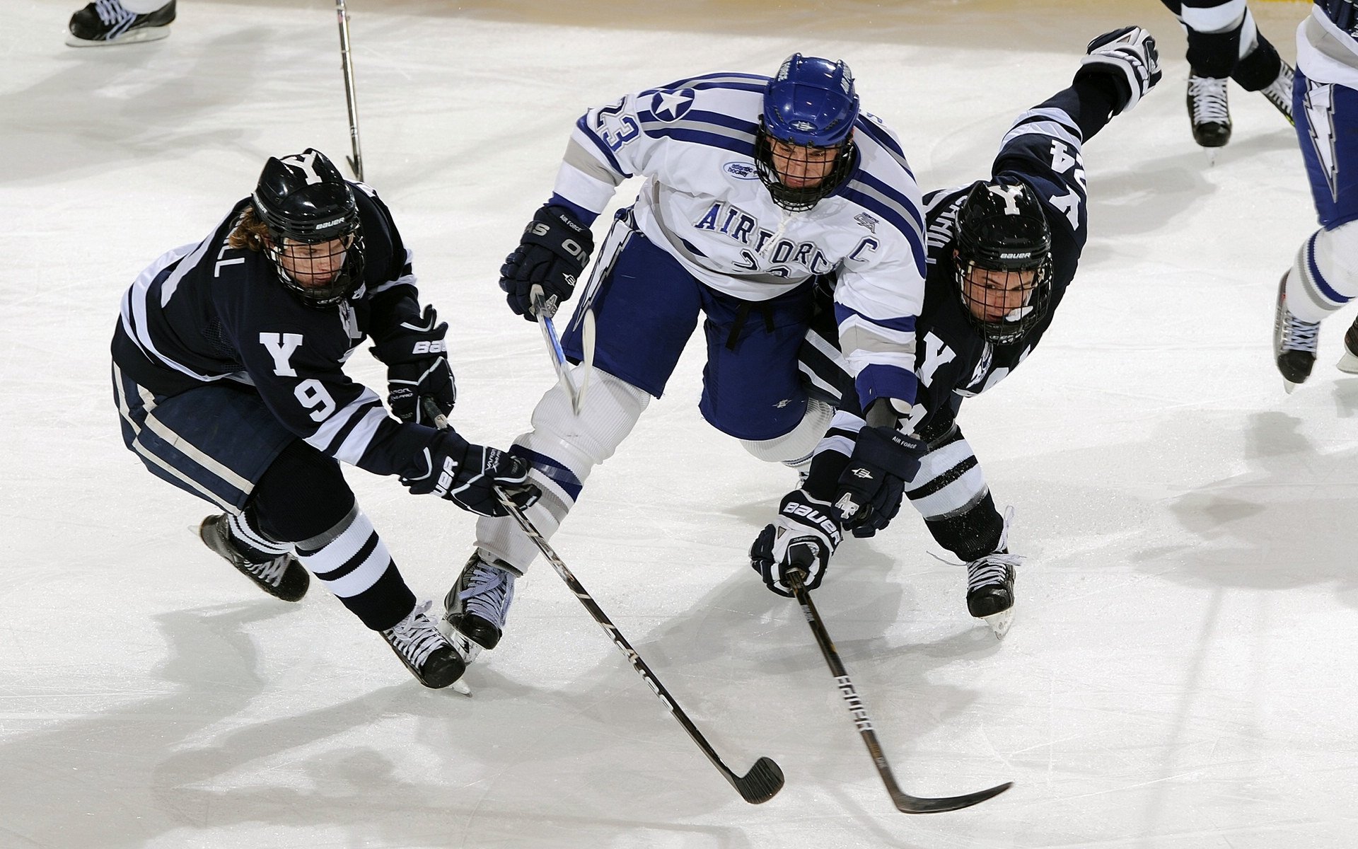 世界杯总结：球迷线上互动远超线下 但现场氛围依旧不可替代